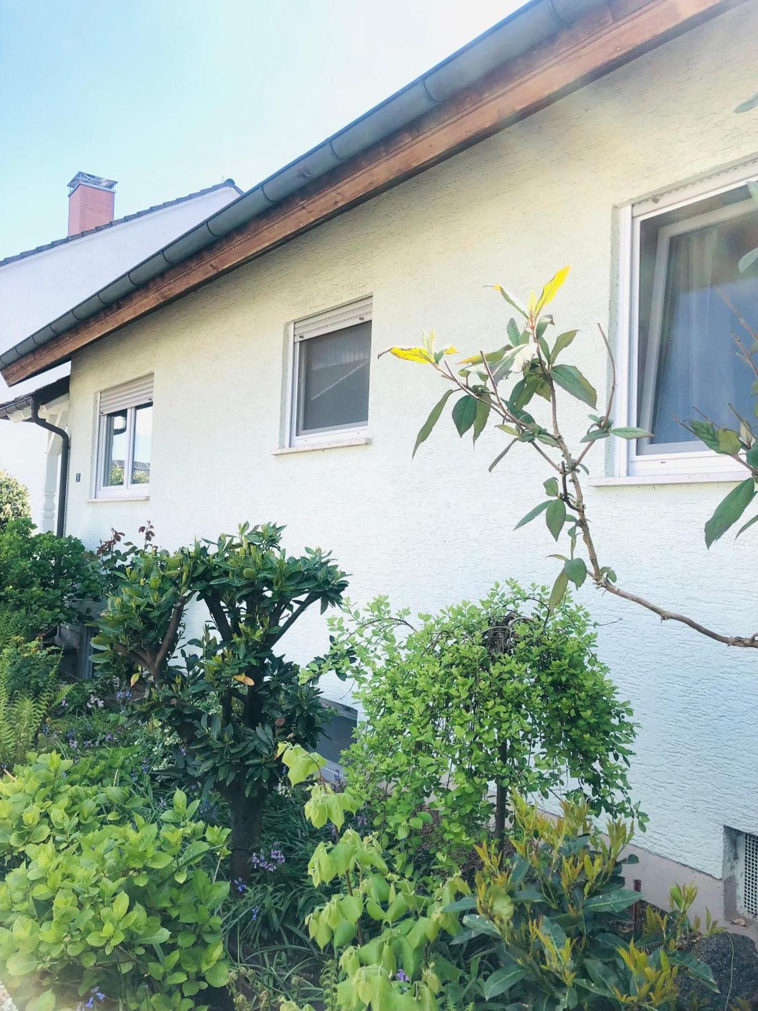Ferienwohnung Feldmann Freckenfeld Экстерьер фото